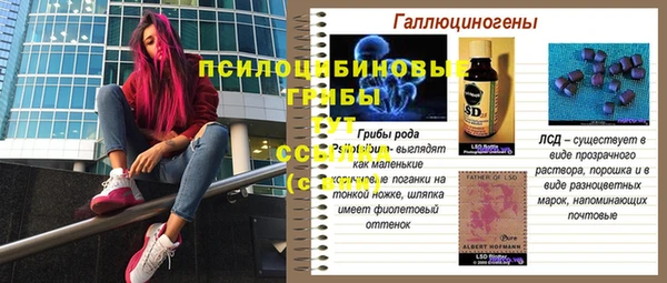 a pvp Абдулино