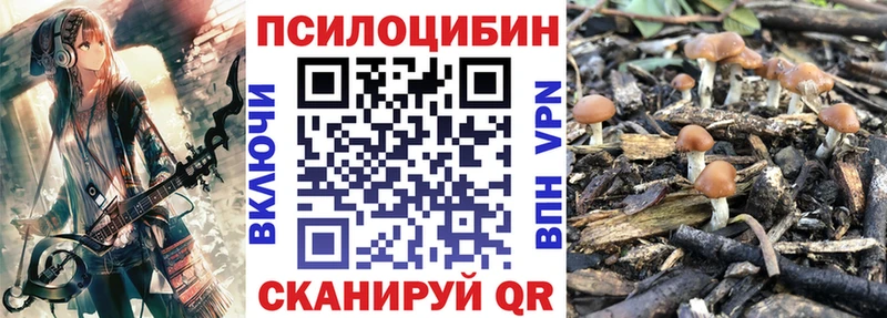 цены наркотик  Райчихинск  Галлюциногенные грибы Magic Shrooms 